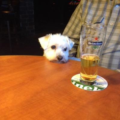 bartonnes1's profile picture. Kookgek. Medewerker PVV-Groningen. Luisteraar van Radio Continu. Dartsliefhebber. Tuinliefhebber. Portugal, Altura.