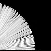 Libro lector (@libro_lector) 's Twitter Profile