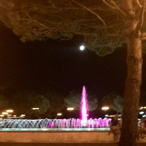 ornella1949's profile picture. Ciao