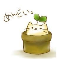 nya❸mun (@nyamun3) 's Twitter Profile