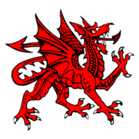 Welsh anaesthesia (@welshanaesthes) 's Twitter Profile