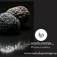 Tartufo Prestige US (@tartufoprestige) 's Twitter Profile