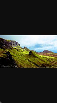 punksnotdead10's profile picture. Much like Mark Hoppus i require Ham.