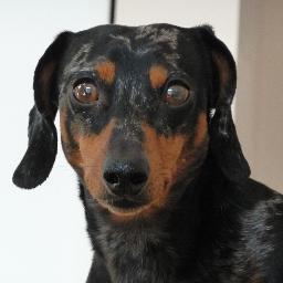 marion_myles1's profile picture. Author. Reader. Equestrian.