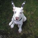 Doug Sinclair - @TourSauce - Twitter