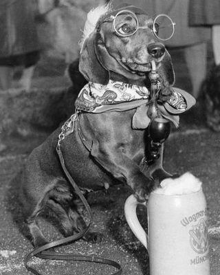 jroc_1979's profile picture. 