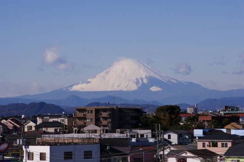 普通の善良なる日本人ですが、自国の国旗や国歌が苦手な日本独特のリベラルを名乗る人達から見ると右派なのかもしれません。