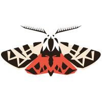 Tigermoth Creative (@tigermothcreate) 's Twitter Profile Photo Tigermoth Creative (@tigermothcreate) 's Twitter Profile Photo