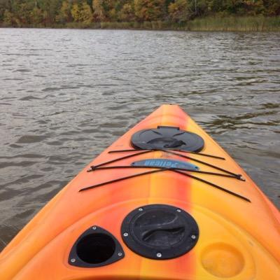 cacroy's profile picture. 