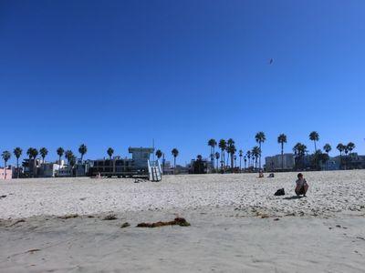 ironakat5536's profile picture. かいしゃいん