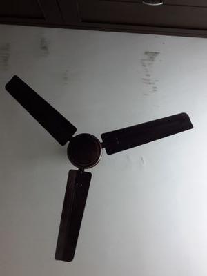 egujaratik's profile picture. 