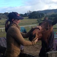 Tara Madgwick(@breednet) 's Twitter Profileg