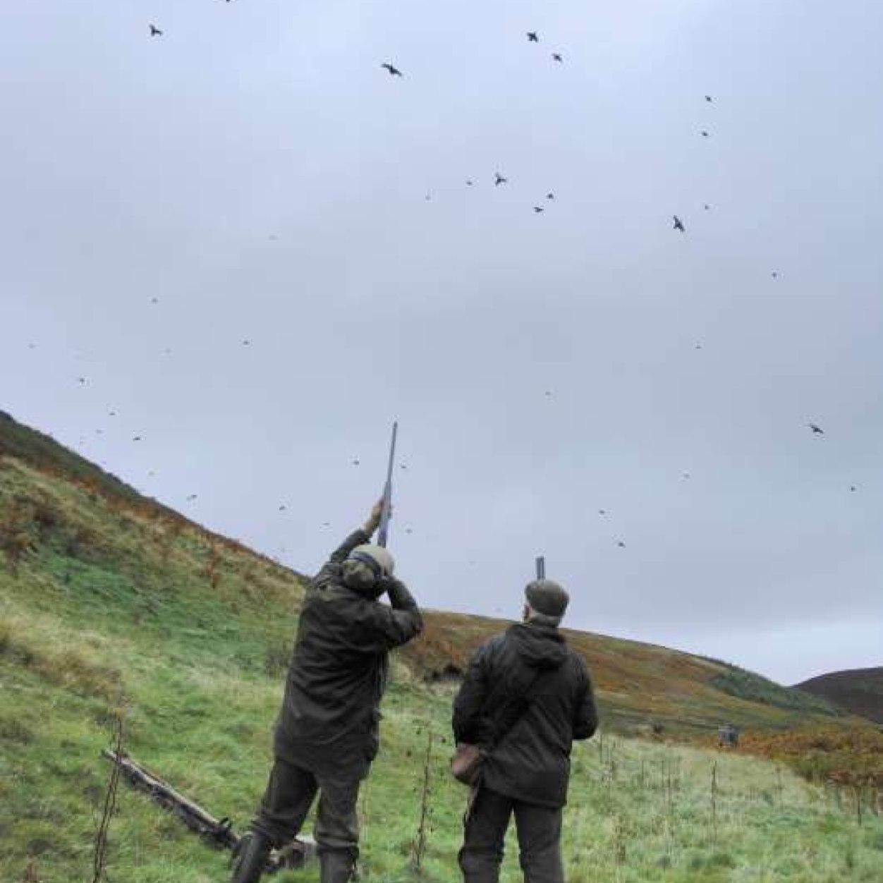 Looking to promote all things great about the British Shooting and Fishing scene. Tweet us your favourite pics and stories.