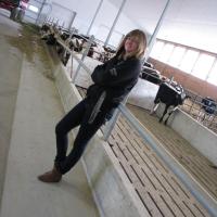 Heather Schuurmans (@heather_laff) 's Twitter Profile Photo