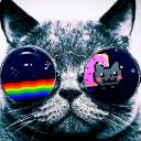 NiNoVimo... (@05_gatto) Twitter