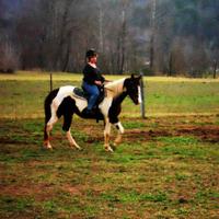 shannon chaffin (@shannonchaffin3) 's Twitter Profile
