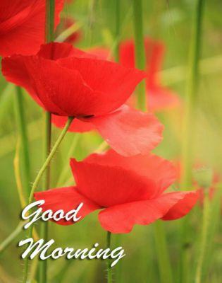 pl dosto mari facebook page nu following kro.... pl following my page Dreames Adhuri Preet humara gurop be is name se ha huma apka likes or commts be kra