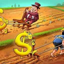 quachminh2000's profile picture. 