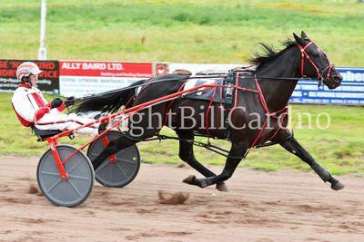 Harness Racing - worlds best sport!