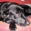 candice lambert - @atilalam - Twitter