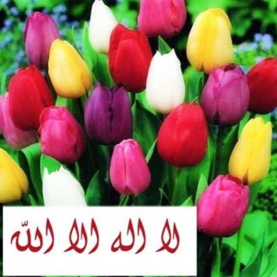سبحان الله العظيم