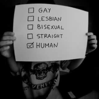 SchafkopfDumm's profile picture. 