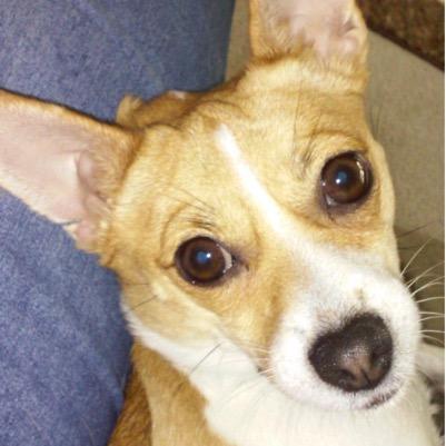 MsKimball1's profile picture. I am a teacher; avid reader; and I love to learn.