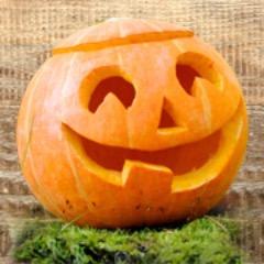 Pick Your Own Pumpkin, carve a face for a light. Scare 'Trick or Treaters' on Halloween night! closed until 2018