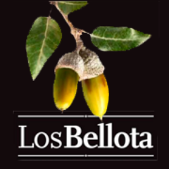 LosBellotaBcn Profile Picture