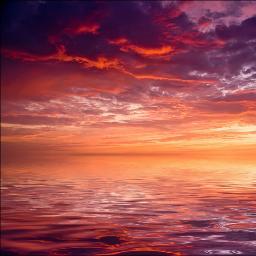 MrsRomagnano's profile picture. 