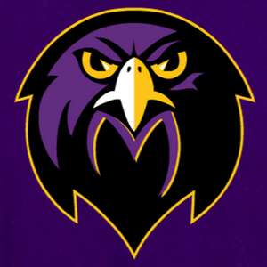 MTSDFALCONS Profile