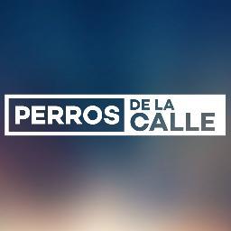 Noticiero que analiza la actualidad de forma muy diferente. Somos #PerrosDeLaCalle TODOS LOS DOMINGO a las 22:30 Hrs por Chilevisión