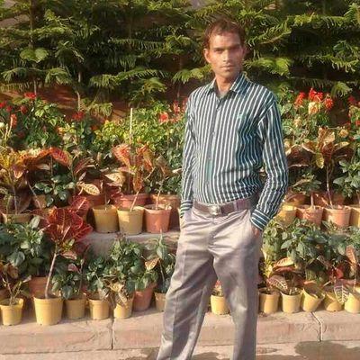 RajeshKamal20's profile picture. 