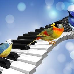 dbboxMusic's profile picture. 