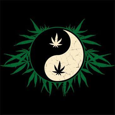 Demo21Rathod33's profile picture. Male version in human