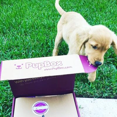 Monthly development box for new puppy parents! Treats, toys & training info customized by age and delivered monthly! http://t.co/UYWPwYbX3h