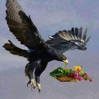 ر♥وقـــاانے (@2003_sulaiman) 's Twitter Profile