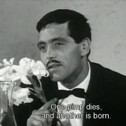 gokx_h's profile picture. human embodiment of a protein shake