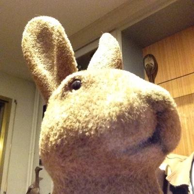 misterbernii's profile picture. Ex cadre d’entreprise