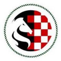 Enniscorthy Chess (@enniscorthyches) 's Twitter Profile
