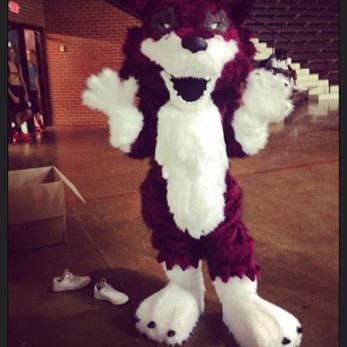ChhsRedwolves's profile picture. 