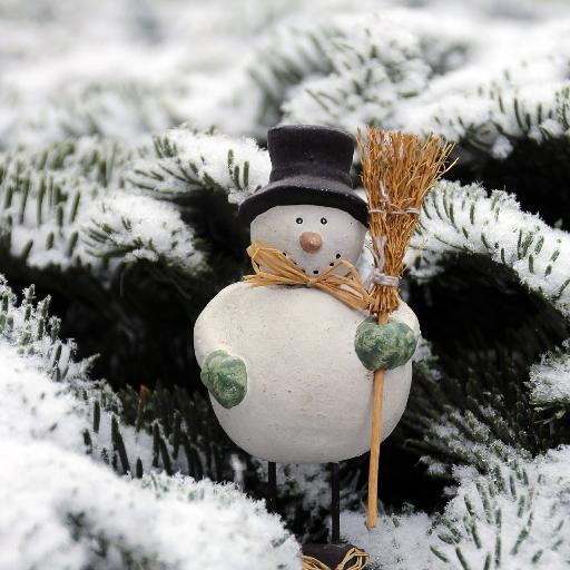 OrnamentsXmas's profile picture. https://t.co/bEBK4grGr1 - Christmas Ornaments - Top Brands, Artists & Designer Names - 1000s Of Choices - New Items Daily! #Christmas #Xmas #Ornaments