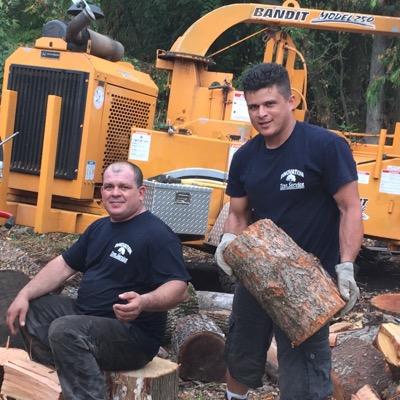 arborist professionals  .  9084585418 call for appointment we are specialist on tree removal stump grinding tree pruning