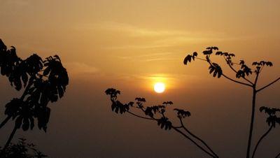 tcardenasp's profile picture. 