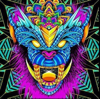 fuginko1's profile picture. bio