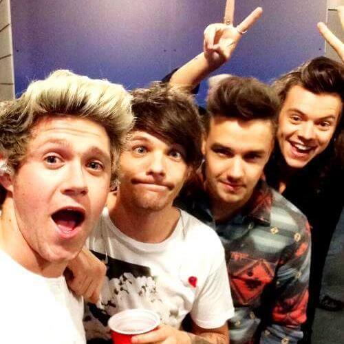 One Direction Welcome to Mexico∞