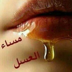 rtn_faris's profile picture. BBM :     564968A6