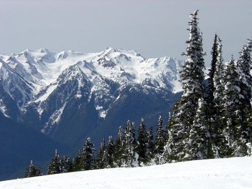 JDWiggin's profile picture. 