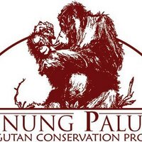 Yayasan Palung (@gpocp) 's Twitter Profile