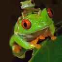 Kate Gaskin - @Katefrog1 - Twitter